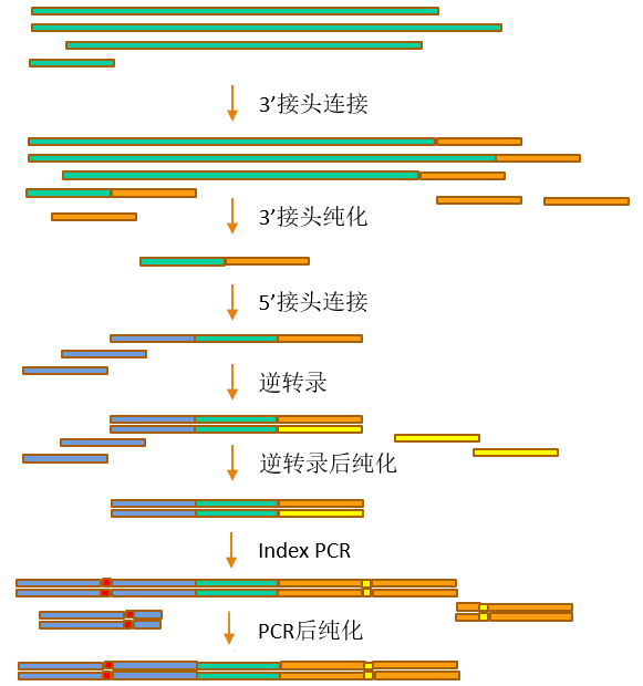 104209103986.png 222.png